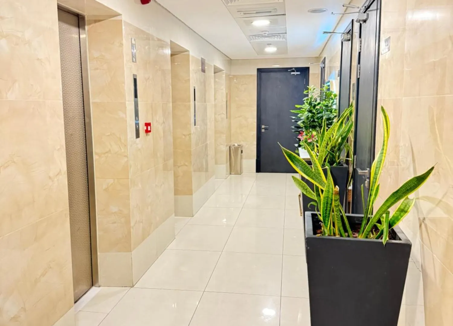 דובאי New Dream Plaza Hotel Apartment